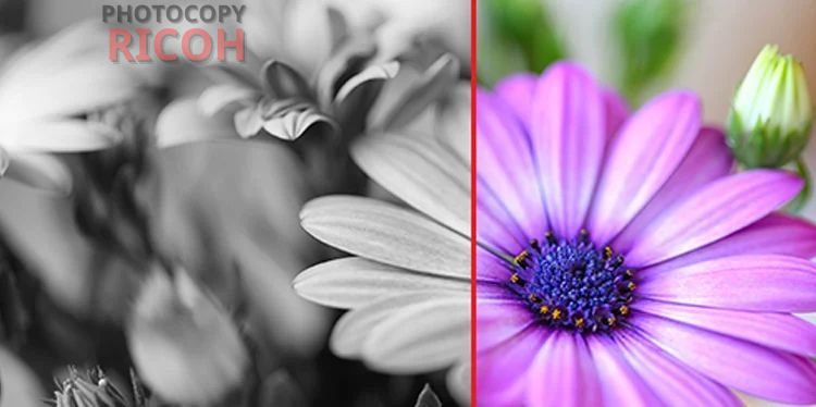 có nên mua máy photocopy màu không ? Tạo ra được những bản in có tính thẩm mỹ cao là điều dễ dàng được nhìn thấy nhất. Rõ ràng luôn có sự khác nhau về cảm giác thích thú khi cầm một bản chụp tươi sáng đầy màu sắc với một bản chụp đơn điệu trắng đen.