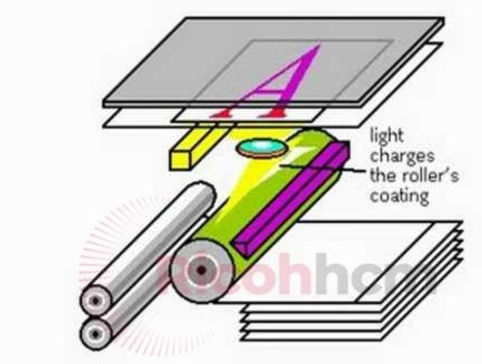 Sau một thời gianbột từ máy photocopy sẽ giảm từ tính và bạn cần thay thế bột từ mới. Tuy nhiên người dùng cần lựa chọn loại bột từ chính hãng và có chất lượng