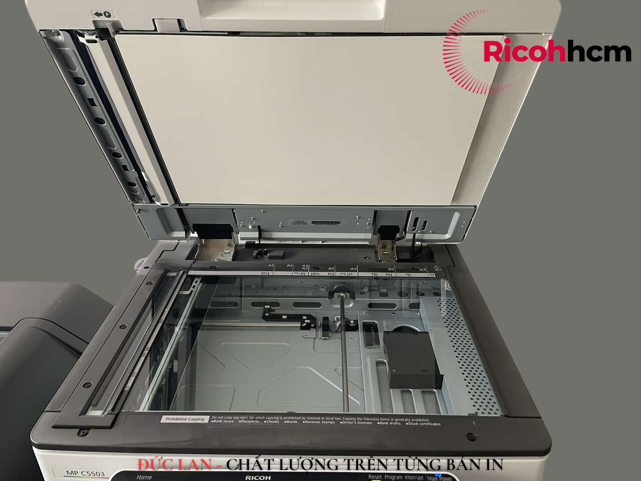 Thuê máy photocopy màu Ricoh MP C5503