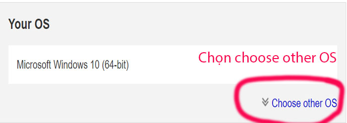 Chọn Choose other OS 