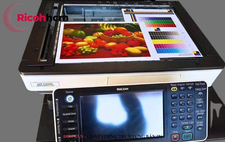 Chọn thuê máy photocopy màu Ricoh MP C3503 hay MP C4503?